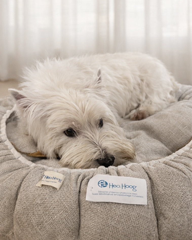 Koerapesa ümar - Image 6